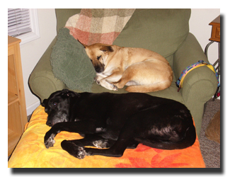 Jet and Sylvie