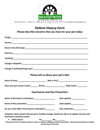 Patient History Form